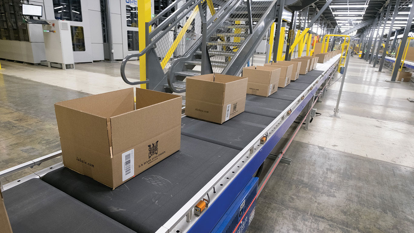 Integrating Automated Solutions to Optimize Your Warehouse with Liftow